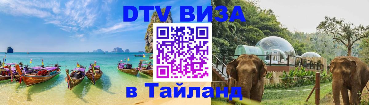 Оформление DTV визы под ключ: стоимость и тарифы, только загранпаспорт - 03.10.2025 