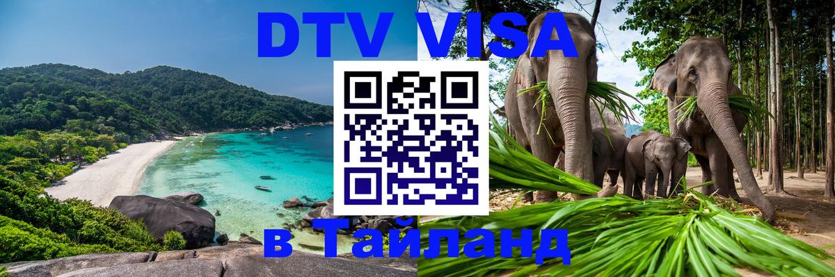 DTV Visa Тайланд купить Нижний Новгород 